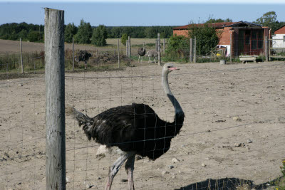 Skane, Sweden