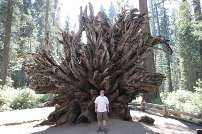 Kevin by an up-ended Sequoia