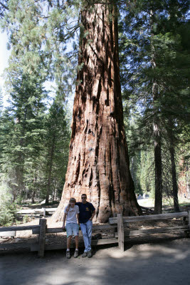 K.C. and Alex by a Giant Sequoia
