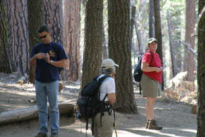 Hiking Mariposa Grove