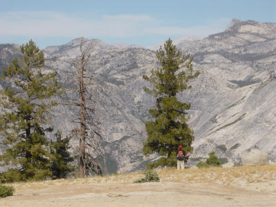 Half Dome Hike