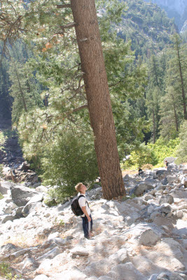 Half Dome Hike