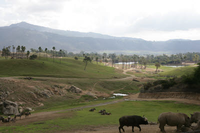 Wild Animal Park