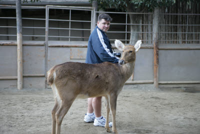 John and the Deer