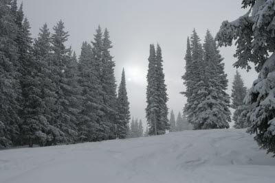 Picture from Vail Trip Jan 2006