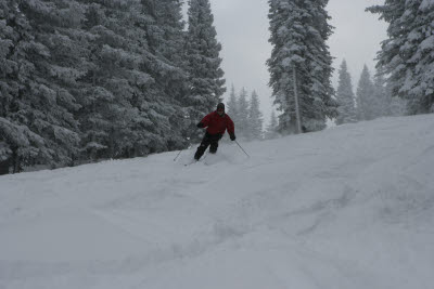 Albert Skiing