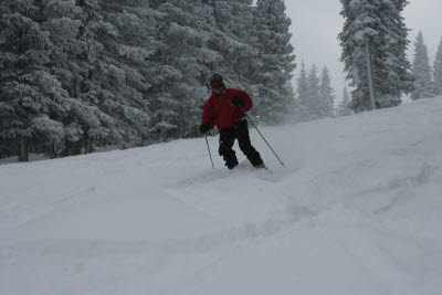 Albert Skiing