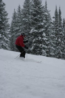 Albert Skiing