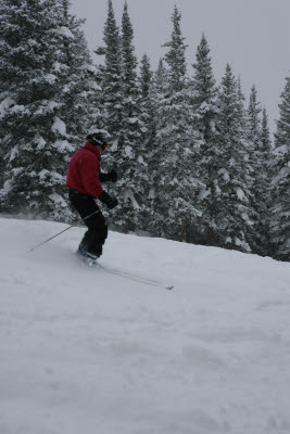 Albert Skiing