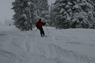 Albert Skiing