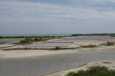 View from Lookout Tower at Cabo Rojo National Wildlife Refuge