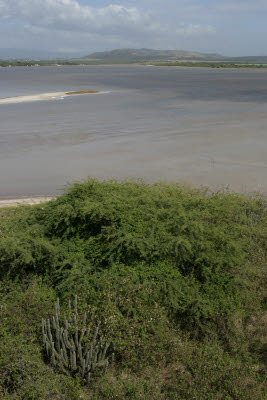 View from Lookout Tower at Cabo Rojo National Wildlife Refuge