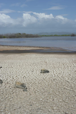 Cabo Rojo Lighthouse and National Wildlife Refuge