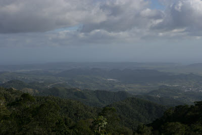 Maricao Forest Reserve