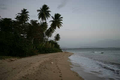 The Beach at the Rincon Beach Resort