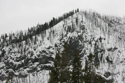 Hillside