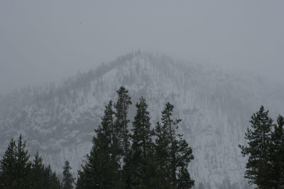 Madison Area, Yellowstone