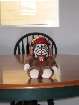 Monkey in a Hockey Mask
