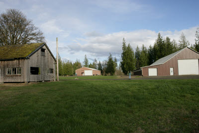 Barns at Farm in Montesano