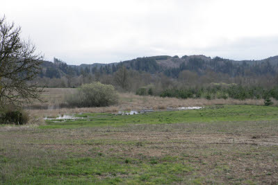 Homesite on Farm in Montesano