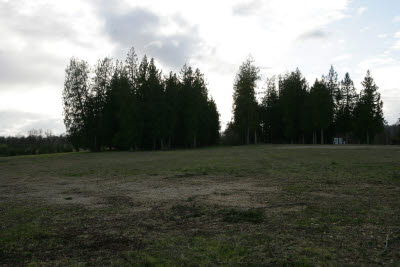 Homesite on Farm in Montesano