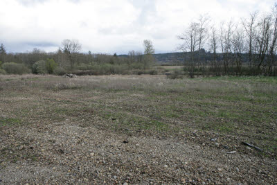 Homesite on Farm in Montesano