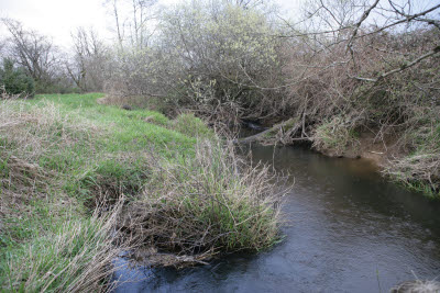 Creek on Farm in Montesano