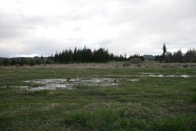 Farm in Montesano