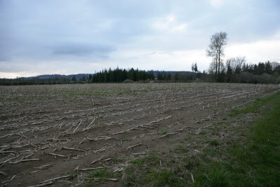 Farmland in Montesano