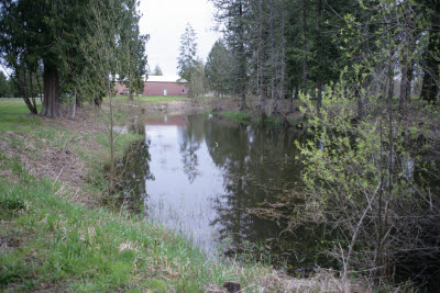 Trout Pond on Farm in Montesano