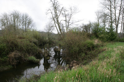 Slough on Farm in Montesano