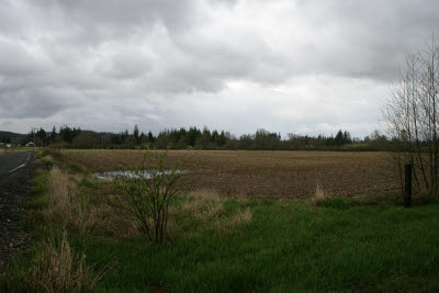 Farmland in Montesano