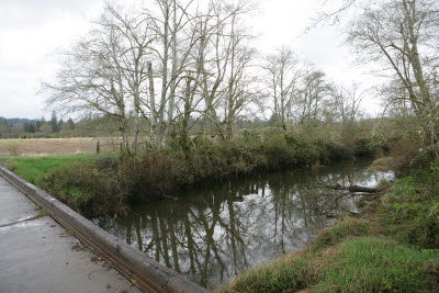 Slough on Farm in Montesano