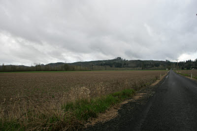 Farmland in Montesano