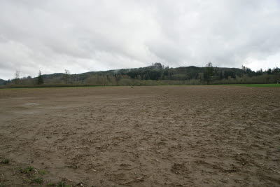 Farmland in Montesano