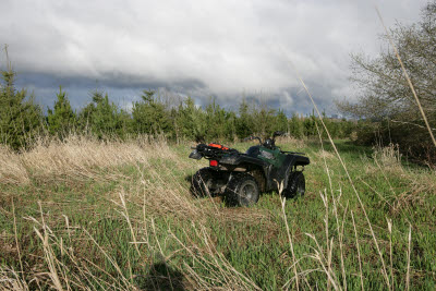 WRP on Farm in Montesano