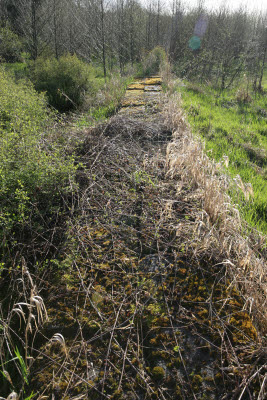 Old Wall on Farm in Montesano