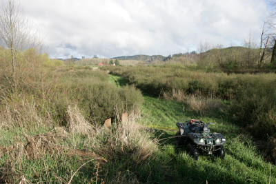 WRP on Farm in Montesano