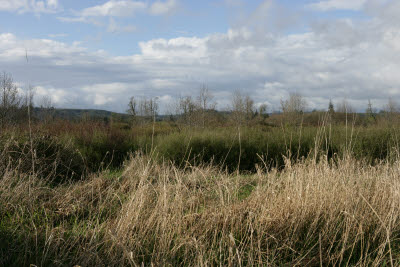 Farm in Montesano