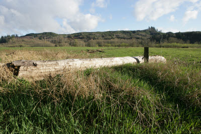 Farm in Montesano