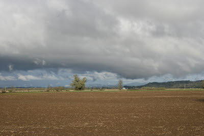 Farmland in Montesano