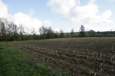 Farm in Montesano