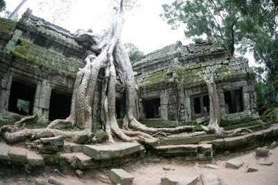 Ta Prohm, Angkor, Cambodia.