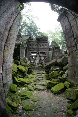 Ta Prohm, Angkor, Cambodia.