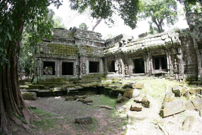 Ta Prohm, Angkor, Cambodia.