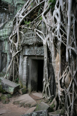 Ta Prohm, Angkor, Cambodia.