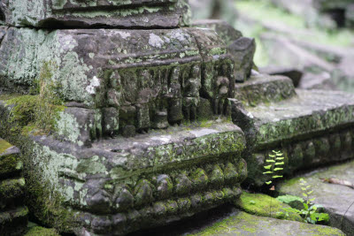 Ta Prohm, Angkor, Cambodia.