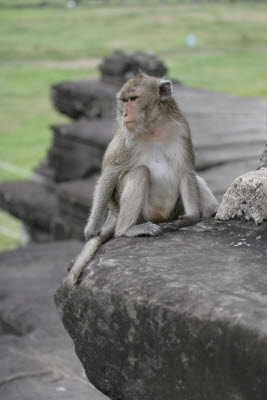 Angkor Wat, Cambodia