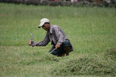 Life in Angkor