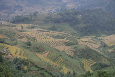 Hill Tribe Villages, Sa Pa, Vietnam